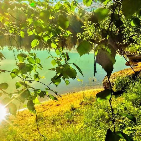 Pax Bay Nature * Konnevesi